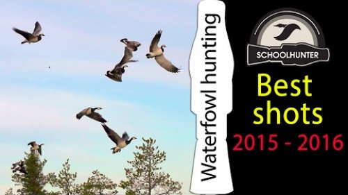 Охота на водоплавающую. Лучшие выстрелы 2015-2016