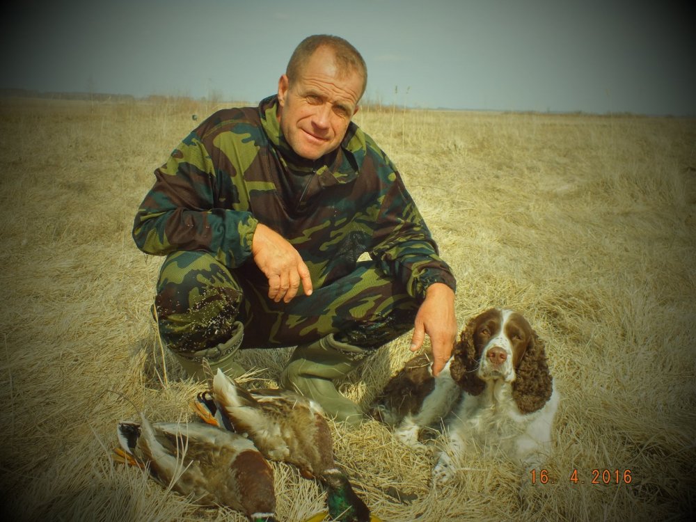Дай друг на счастье лапу мне