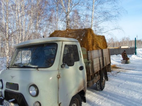 Косулькам,
