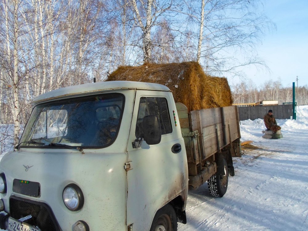Косулькам,