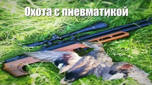 Охота на уток с пневматикой
