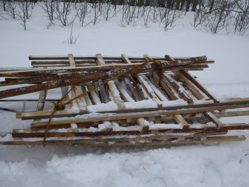 Помогаем косульке!