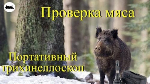 Трихинеллёз. Работа с портативным трихинеллоскопом.