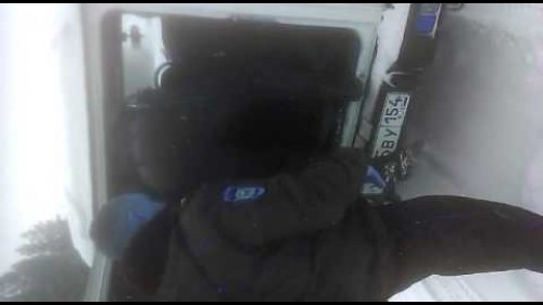 Спасли от собак и выпустили в бор