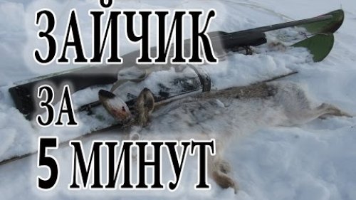 Заяц за 5 минут. Удачная охота!