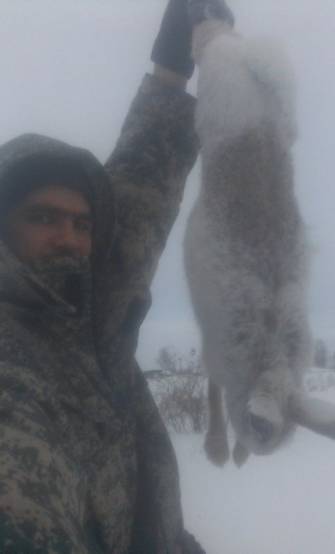 Зайчик