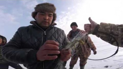 Браконьер метнул нож в егеря