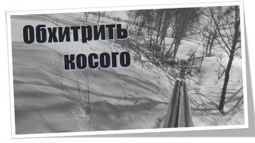 Охота на зайца.Обхитрить косого