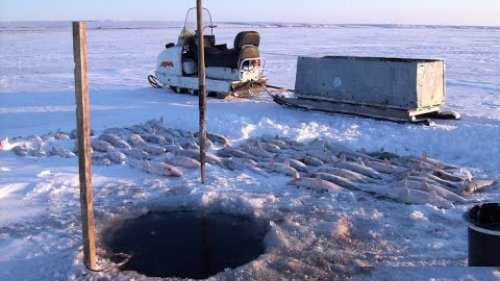 Браконьерский промысел на Рыбинском водохранилище!