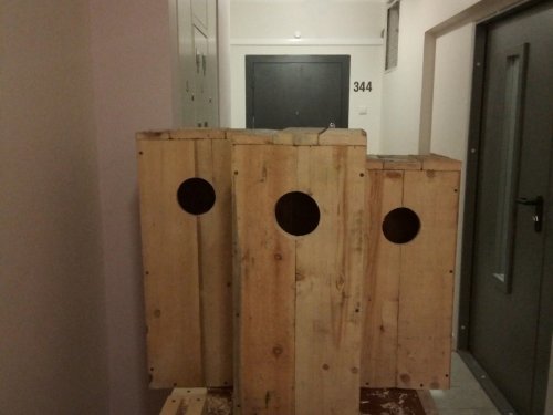 биотехнические мероприятия