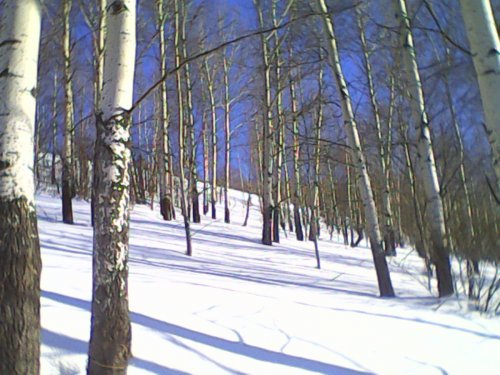 Весело, весело… закроем сезон охоты.