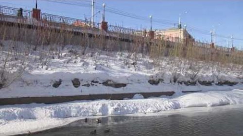 ути кормятся