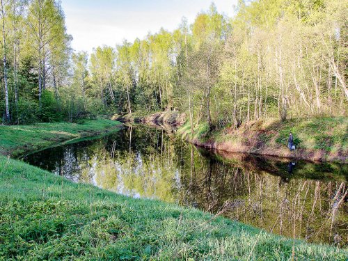 Лесная речка.