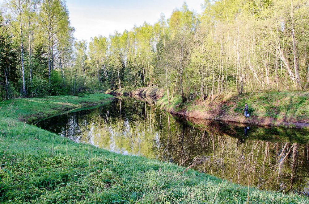 Лесная речка.