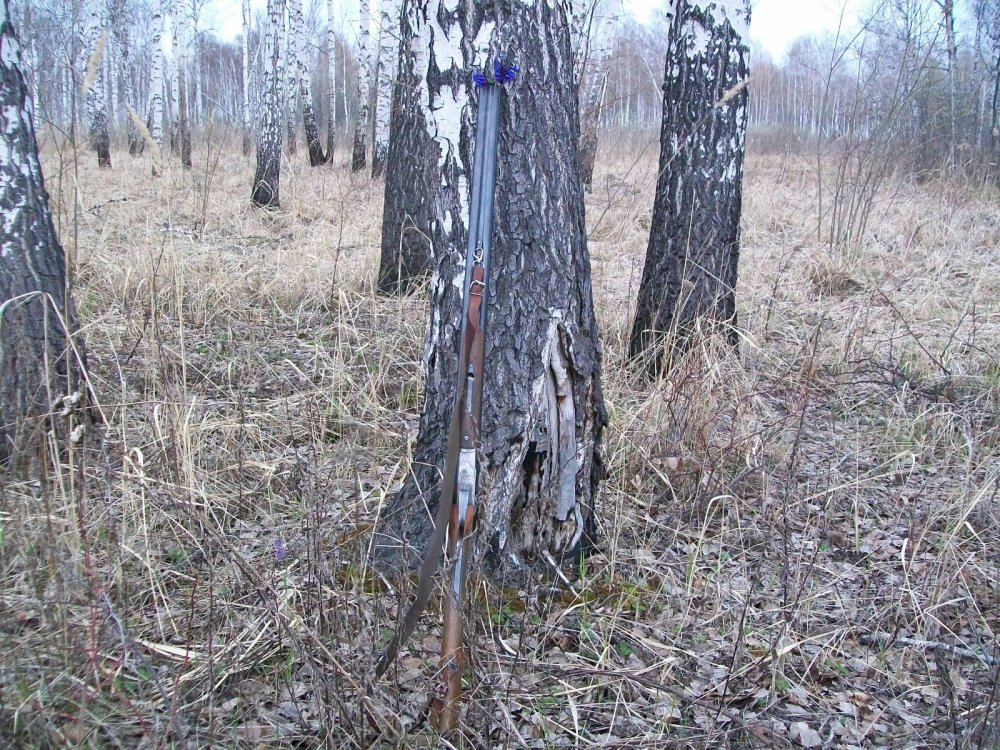 ружьишко)