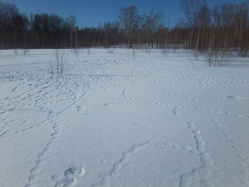 Проверка тока!