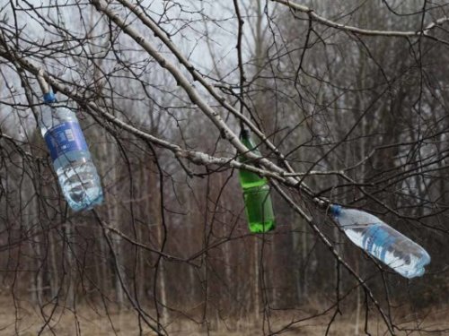 Березовый сок
