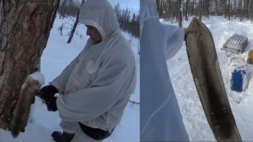 Промысел соболя//Охота на Северного Оленя//Закрытие сезона//Путешествие в Эвенкию