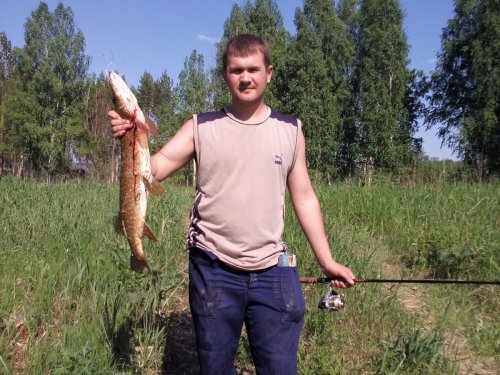Наглая Щука