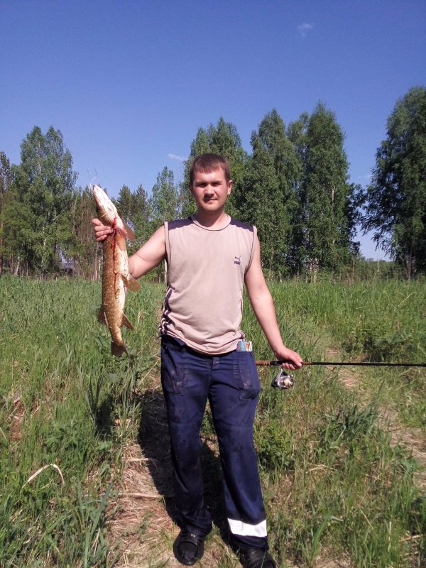 Наглая Щука
