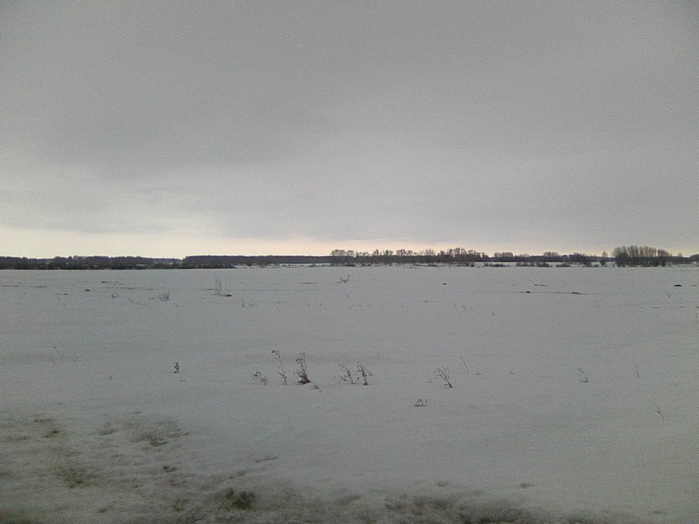 Пара
