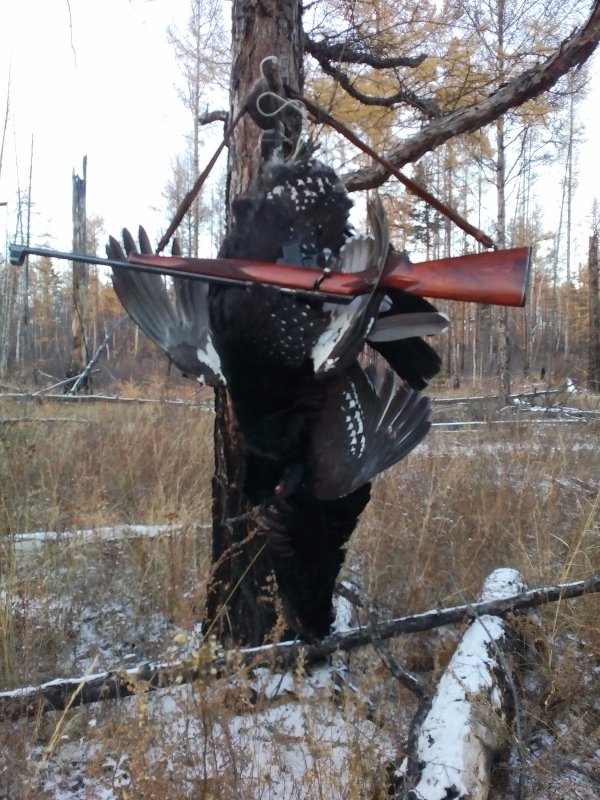 Композиция
