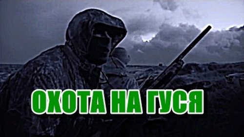 Охота на гуся. Повезло с погодой