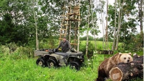 Охота на Медведя с лабаза. Привада на крупного хищника.