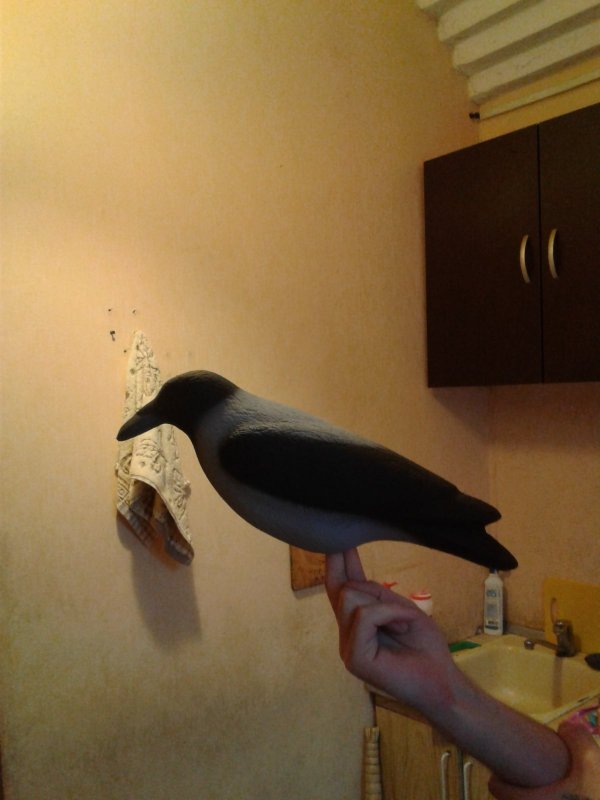 Готовимся к открытию. Похожа?