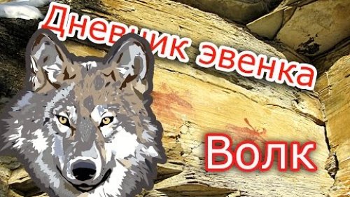 Волк .
