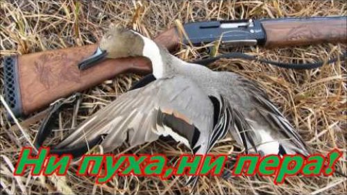 Ни пуха,ни пера! No fluff,no pen!