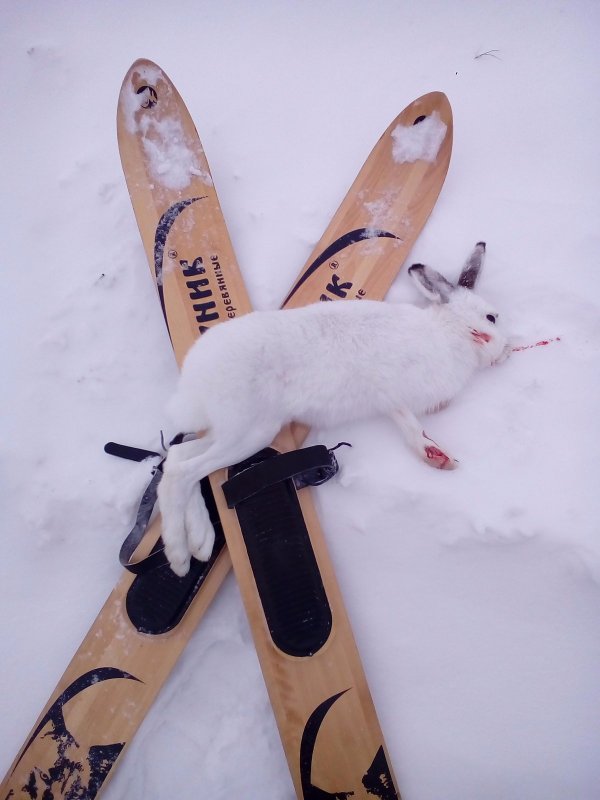 2016 год