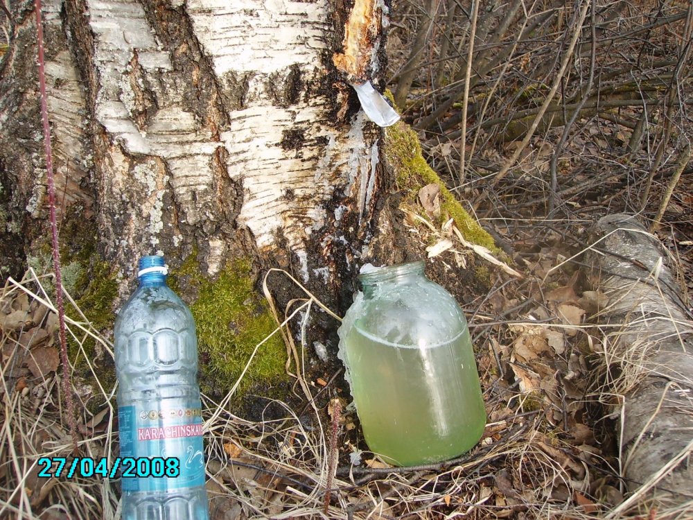 сок)