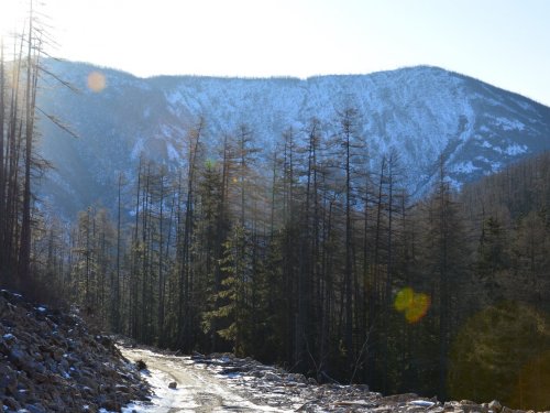Природа Хабаровского края