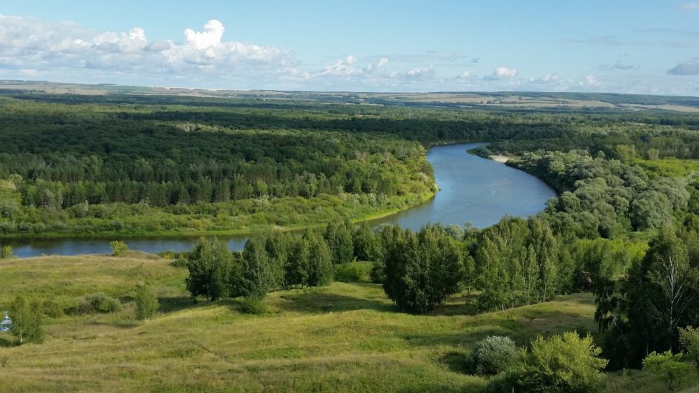 река Сура