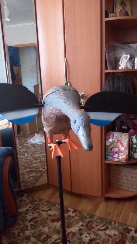 Помощница приехала