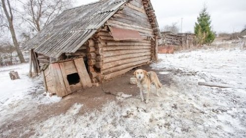 Заброшенное счастье. Забытые охотники и рыбаки.