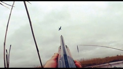 Охота на утку c МР-153