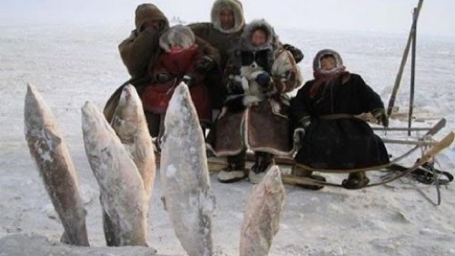 За северным ветром! На край земли.