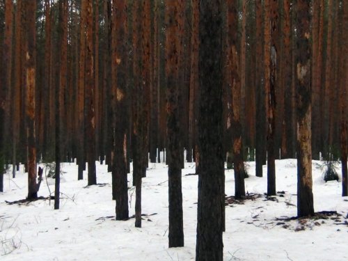 Очаг