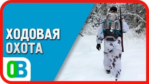 Зимняя ходовая охота на зайца
