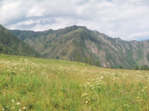 Горный