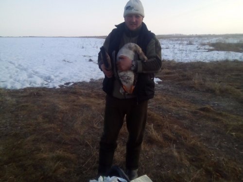 Добыл своего гусика.