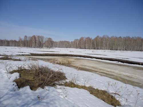 Коченевский район