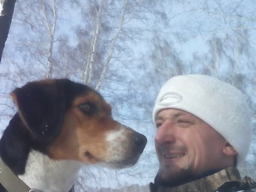 из нашей зимней хроники