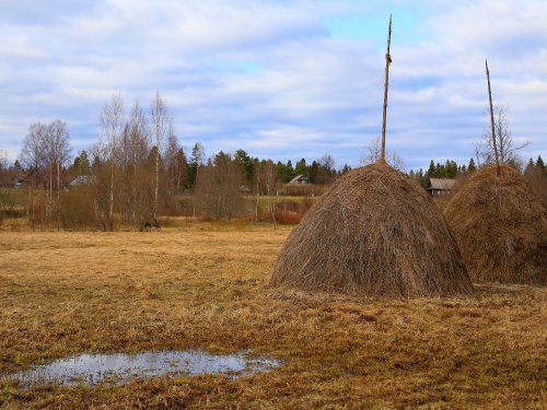 Новгородская область, Окуловский район