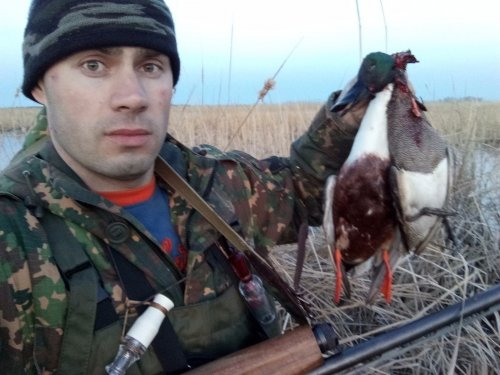 Повечерил