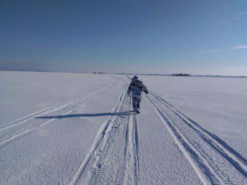 первый выход