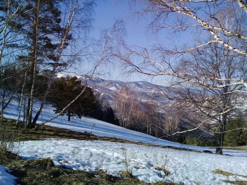 горный