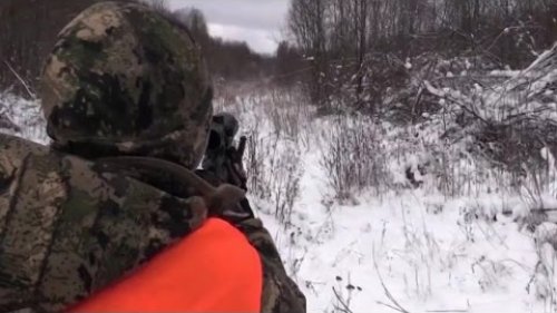 Правила загонной охоты.